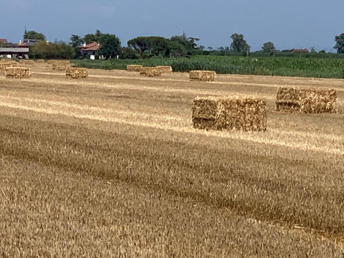 Agriturismo Ca' Alleata Caorle Buitenkant foto