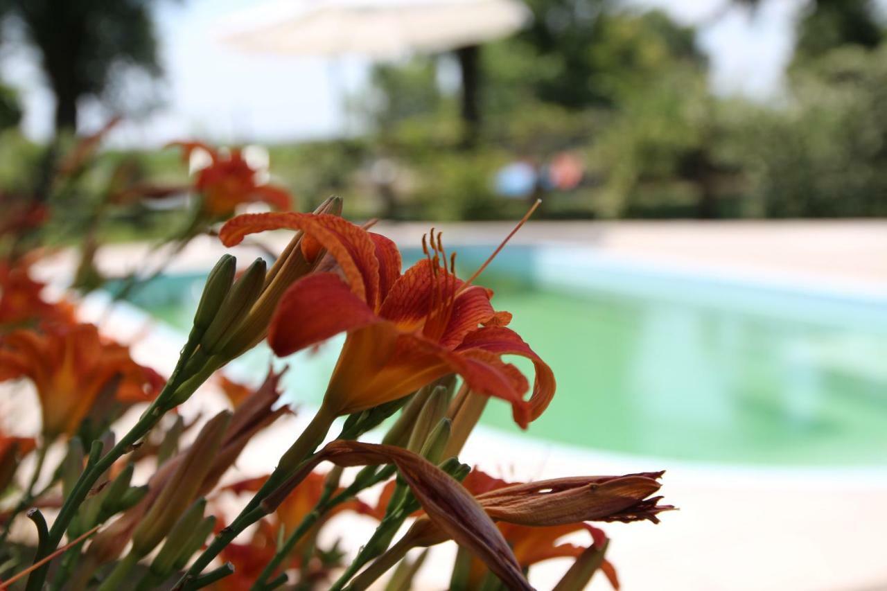Agriturismo Ca' Alleata Caorle Buitenkant foto