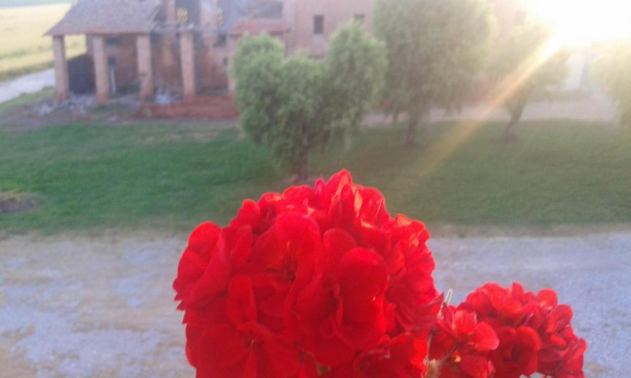 Agriturismo Ca' Alleata Caorle Buitenkant foto
